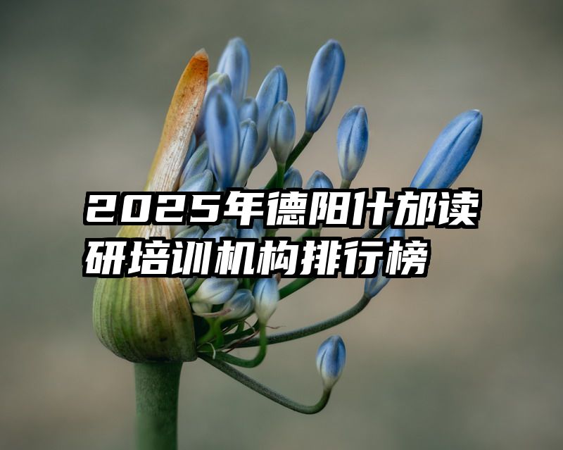 2025年德阳什邡读研培训机构排行榜