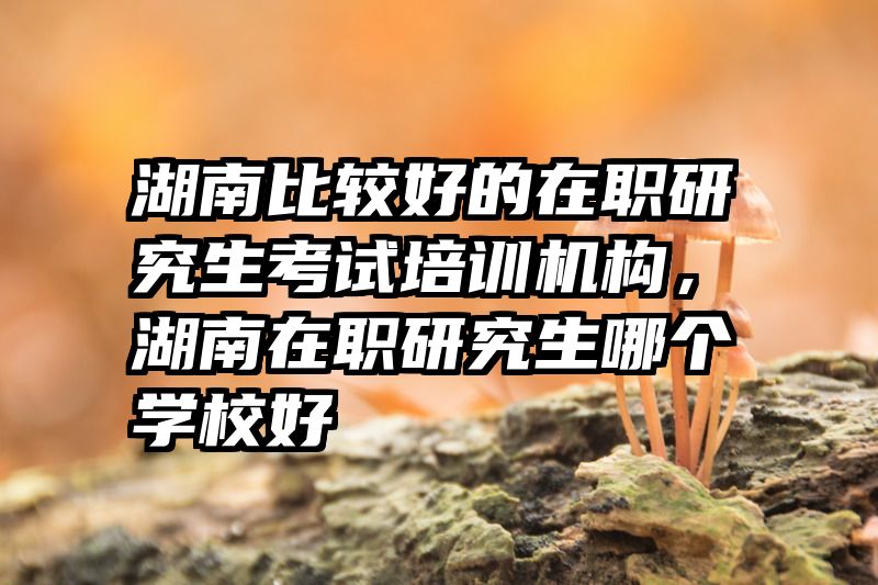 湖南比较好的在职研究生考试培训机构,湖南在职研究生哪个学校好