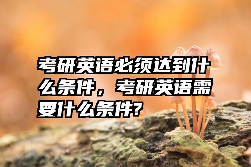 考研英语必须达到什么条件，考研英语需要什么条件?