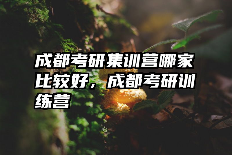 成都考研集训营哪家比较好，成都考研训练营