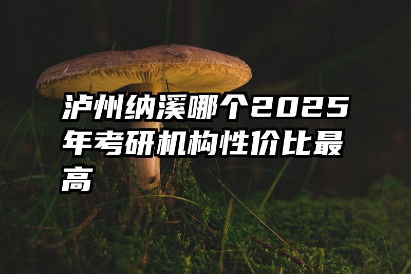 泸州纳溪哪个2025年考研机构性价比最高