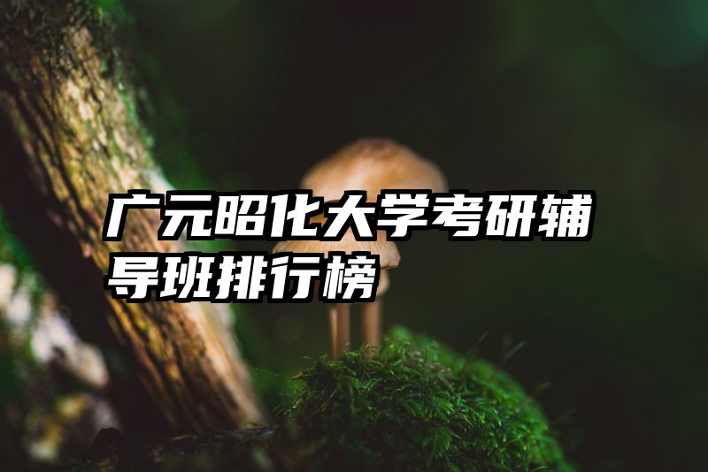 广元昭化大学考研辅导班排行榜