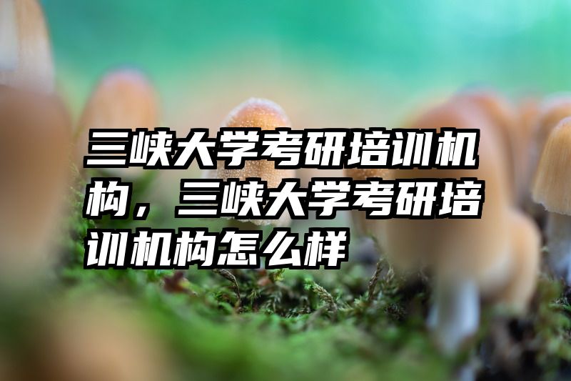 三峡大学考研培训机构,三峡大学考研培训机构怎么样