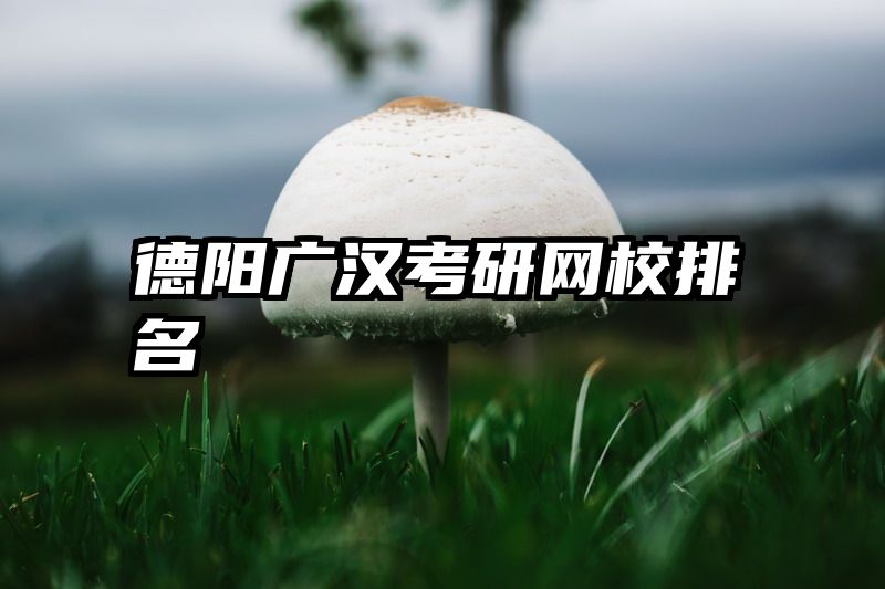 德阳广汉考研网校排名