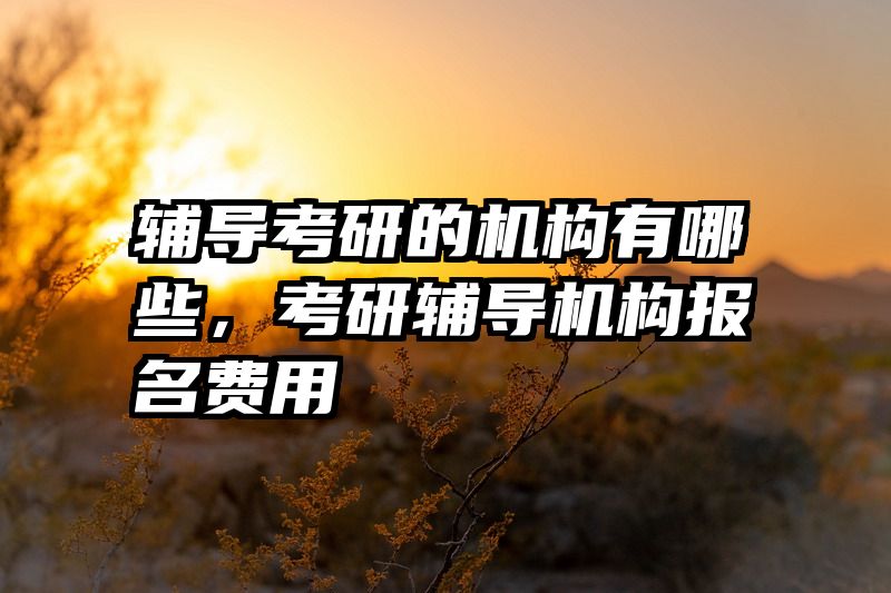 辅导考研的机构有哪些，考研辅导机构报名费用