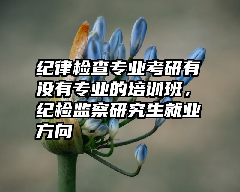纪律检查专业考研有没有专业的培训班,纪检监察研究生就业方向