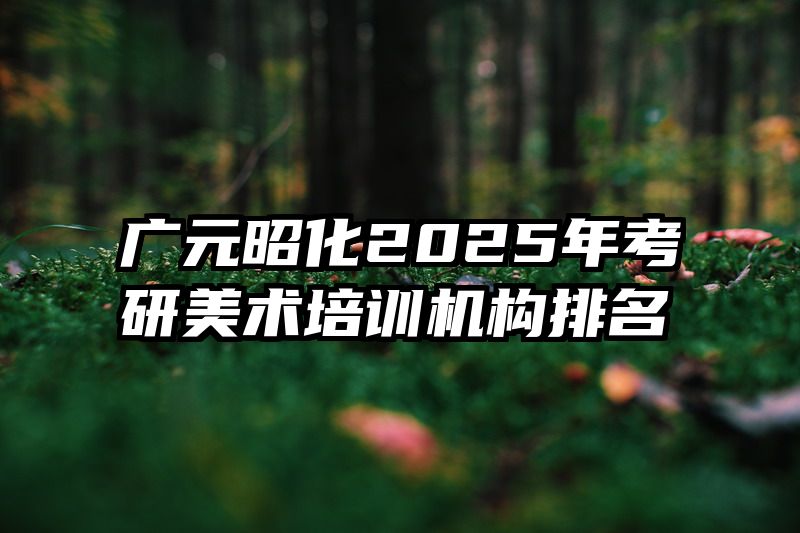 广元昭化2025年考研美术培训机构排名