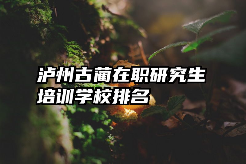 泸州古蔺在职研究生培训学校排名