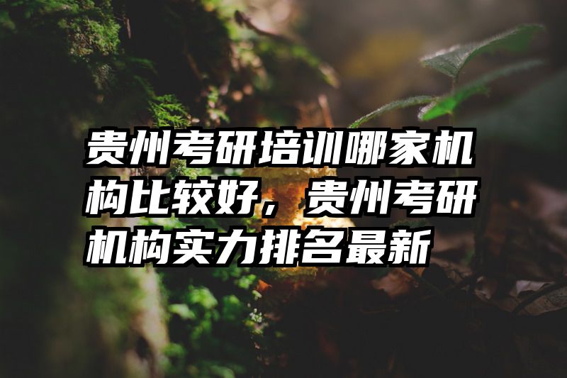 贵州考研培训哪家机构比较好，贵州考研机构实力排名最新