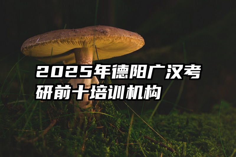 2025年德阳广汉考研前十培训机构
