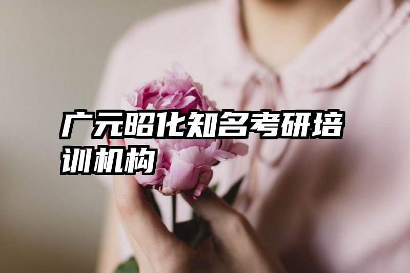 广元昭化知名考研培训机构