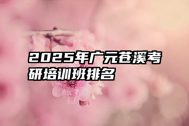 2025年广元苍溪考研培训班排名