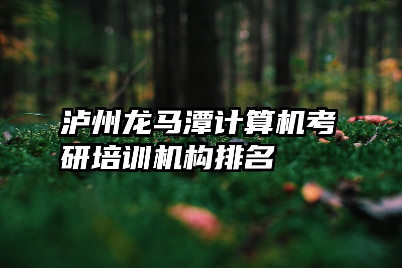 泸州龙马潭计算机考研培训机构排名