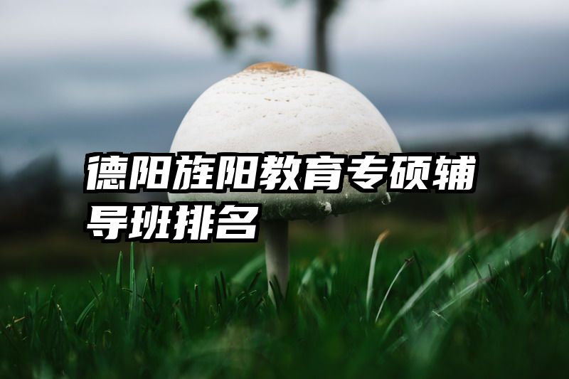 德阳旌阳教育专硕辅导班排名