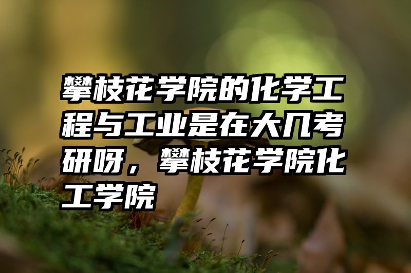 攀枝花学院的化学工程与工业是在大几考研呀，攀枝花学院化工学院