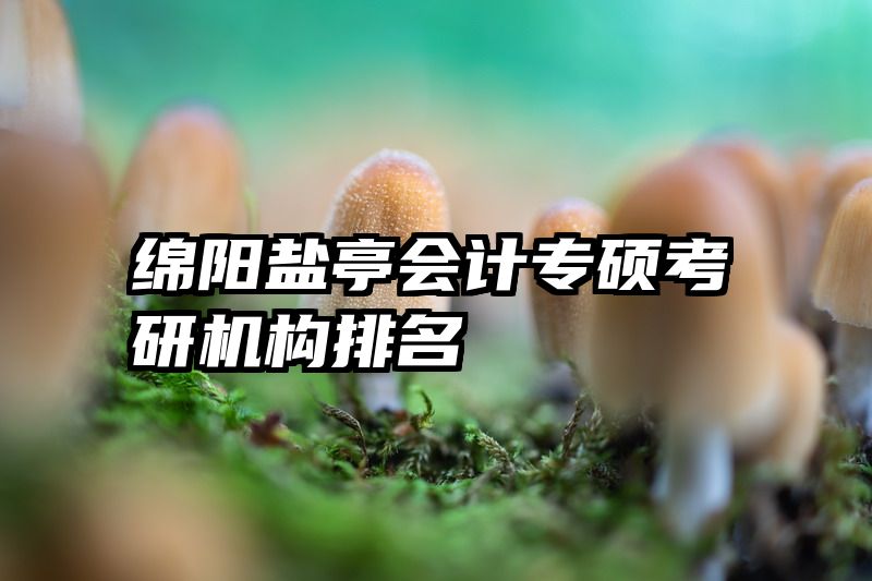 绵阳盐亭会计专硕考研机构排名
