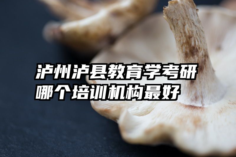 泸州泸县教育学考研哪个培训机构最好