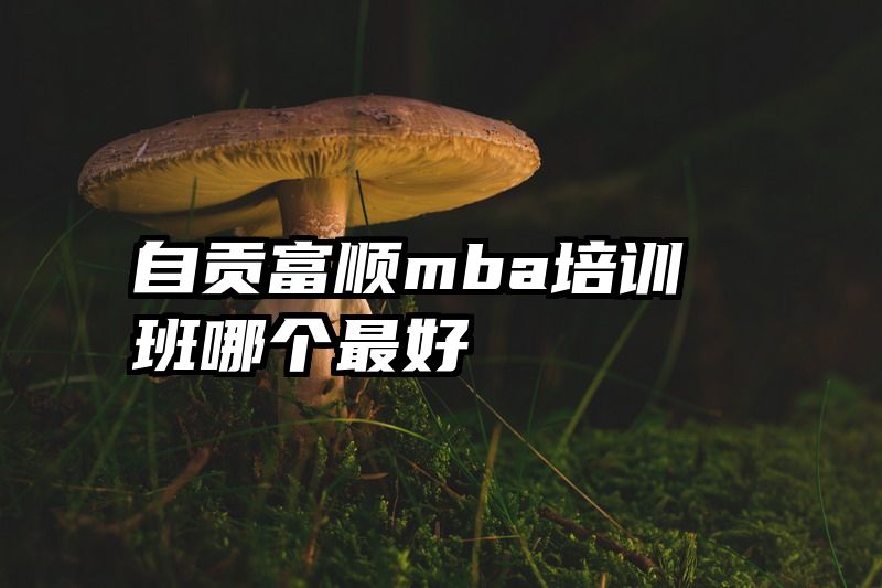 自贡富顺mba培训班哪个最好