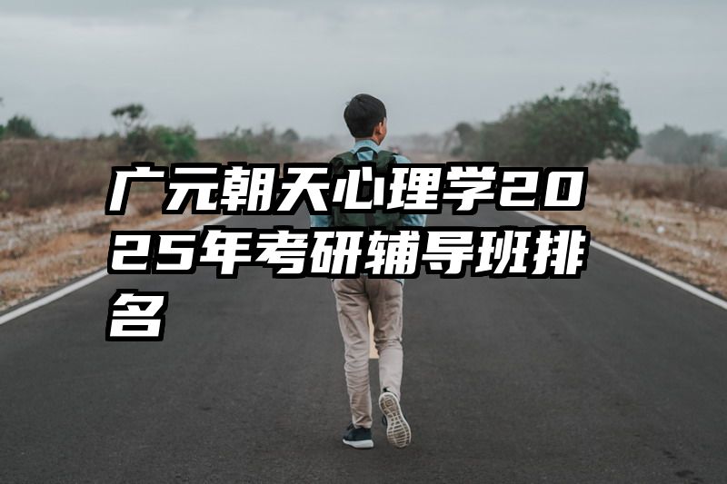 广元朝天心理学2025年考研辅导班排名