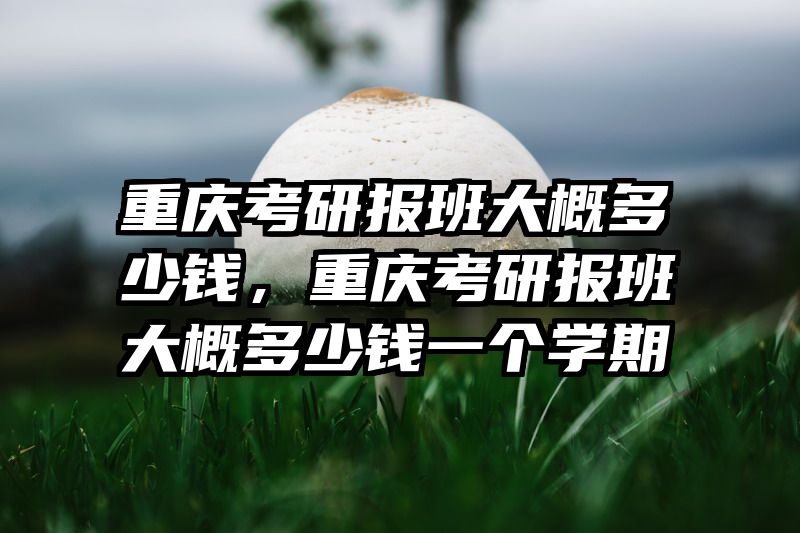 重庆考研报班大概多少钱，重庆考研报班大概多少钱一个学期