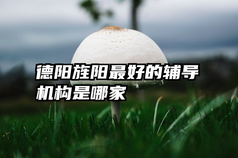 德阳旌阳最好的辅导机构是哪家