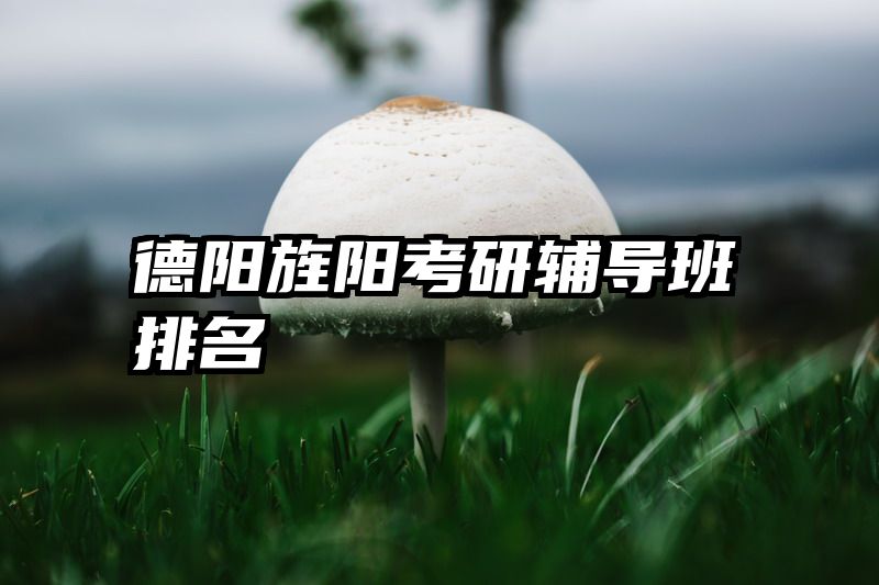 德阳旌阳考研辅导班排名