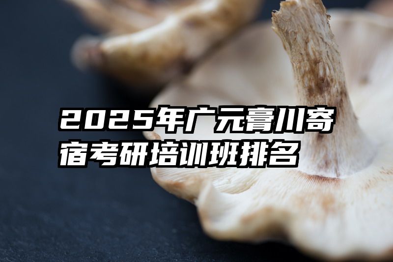 2025年广元膏川寄宿考研培训班排名
