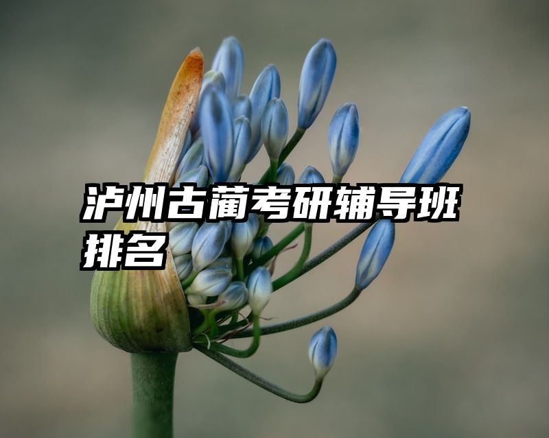 泸州古蔺考研辅导班排名