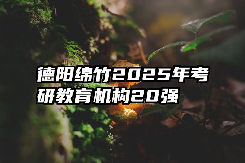 德阳绵竹2025年考研教育机构20强