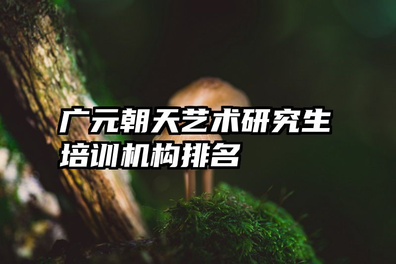 广元朝天艺术研究生培训机构排名