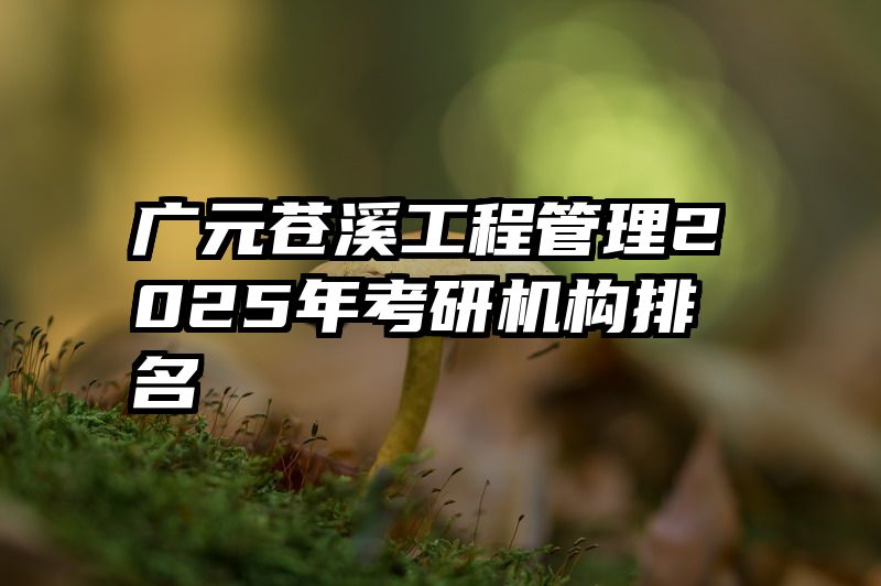 广元苍溪工程管理2025年考研机构排名