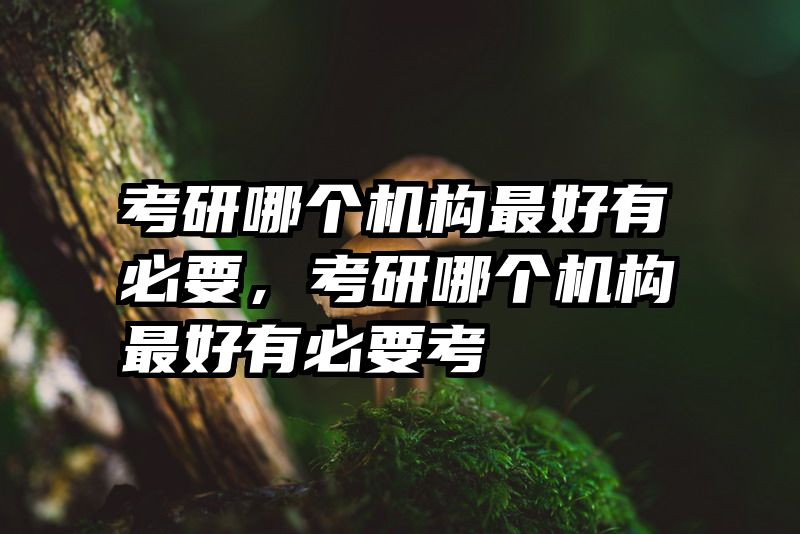考研哪个机构最好有必要，考研哪个机构最好有必要考