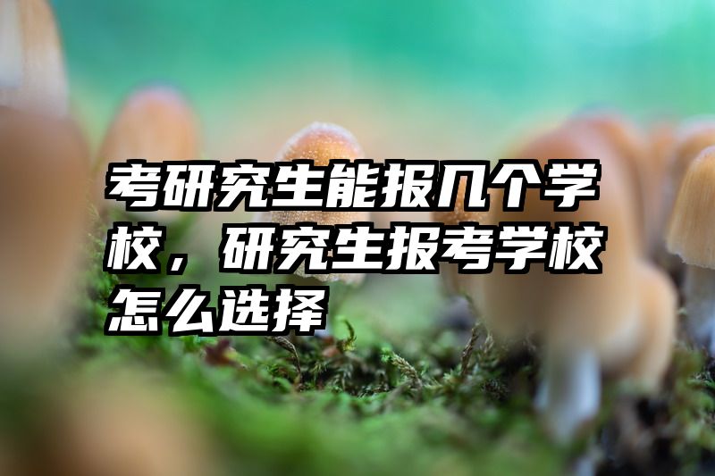 考研究生能报几个学校，研究生报考学校怎么选择