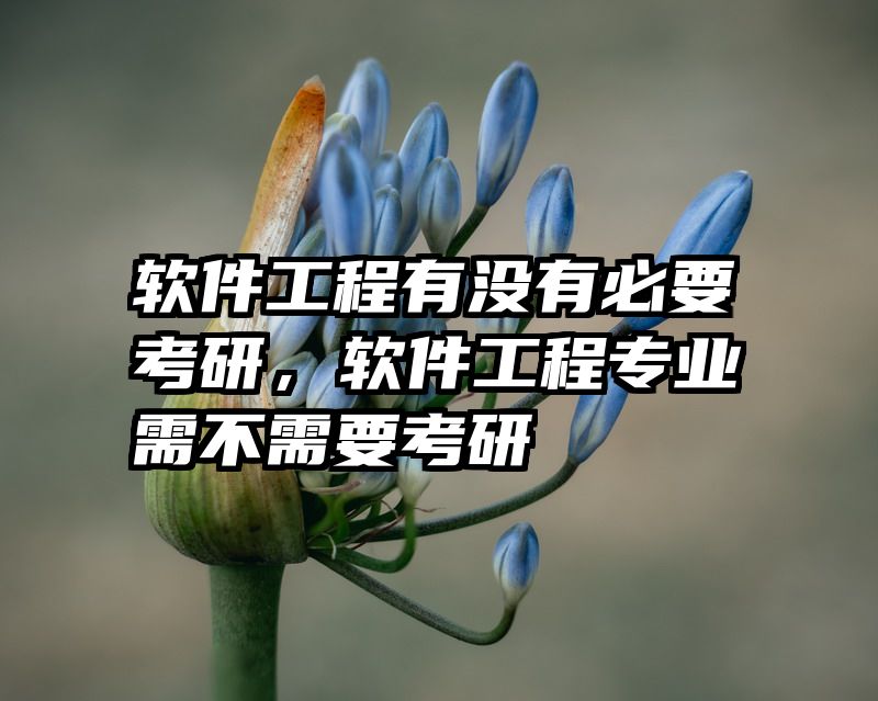 软件工程有没有必要考研，软件工程专业需不需要考研