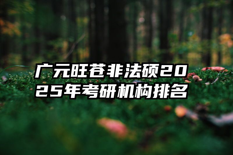 广元旺苍非法硕2025年考研机构排名