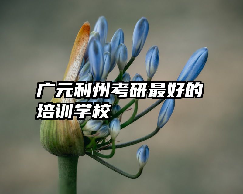 广元利州考研最好的培训学校