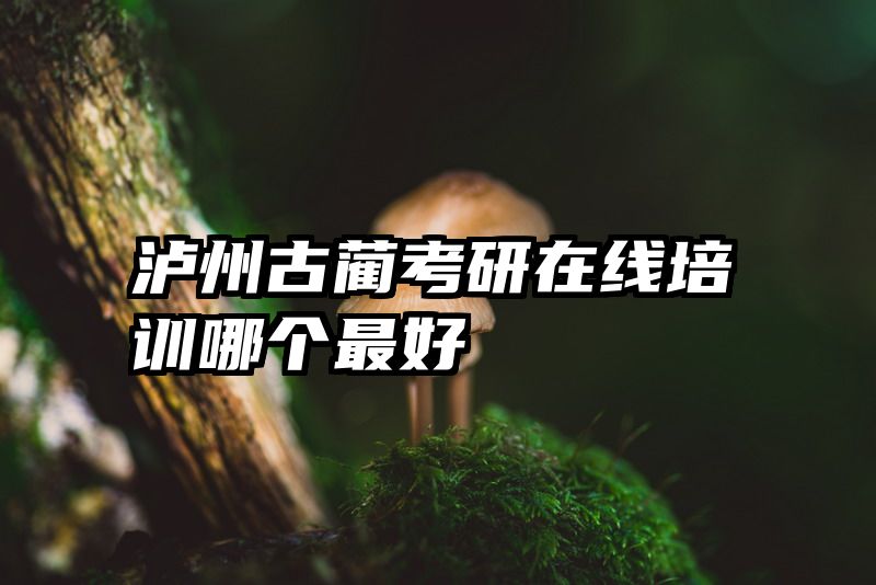 泸州古蔺考研在线培训哪个最好