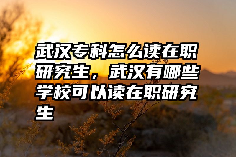 武汉专科怎么读在职研究生，武汉有哪些学校可以读在职研究生