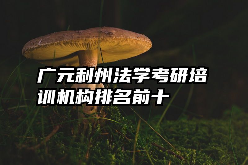广元利州法学考研培训机构排名前十