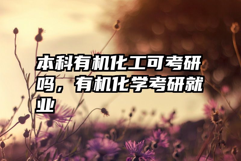 本科有机化工可考研吗，有机化学考研就业