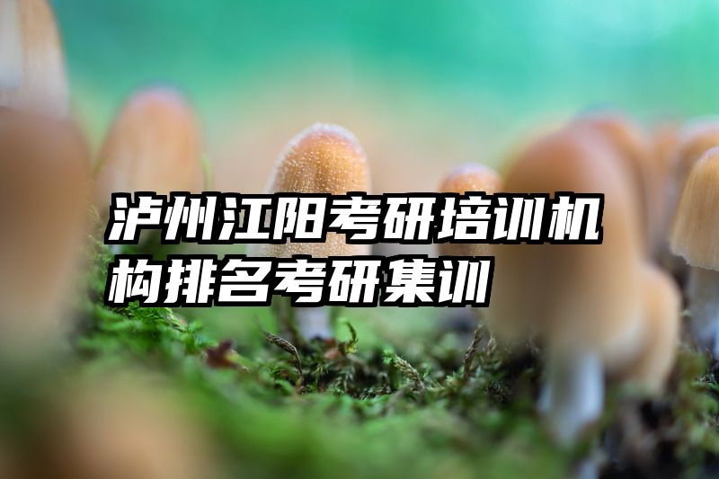 泸州江阳考研培训机构排名考研集训