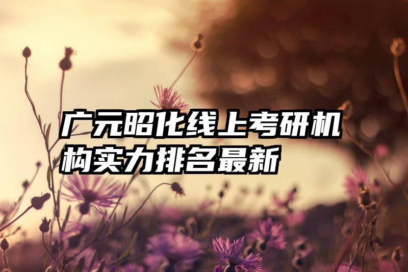 广元昭化线上考研机构实力排名最新