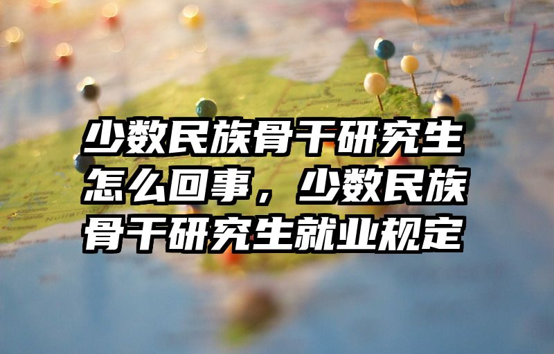 少数民族骨干研究生怎么回事，少数民族骨干研究生就业规定