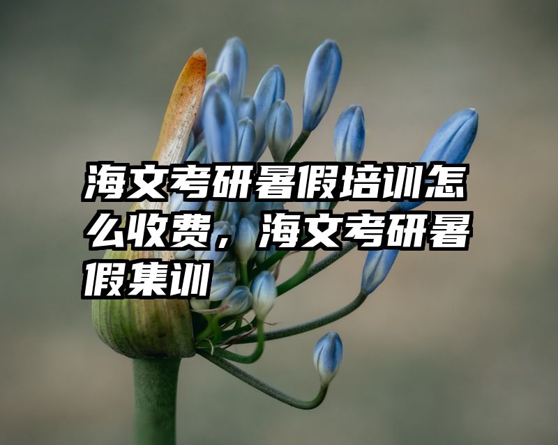海文考研暑假培训怎么收费，海文考研暑假集训