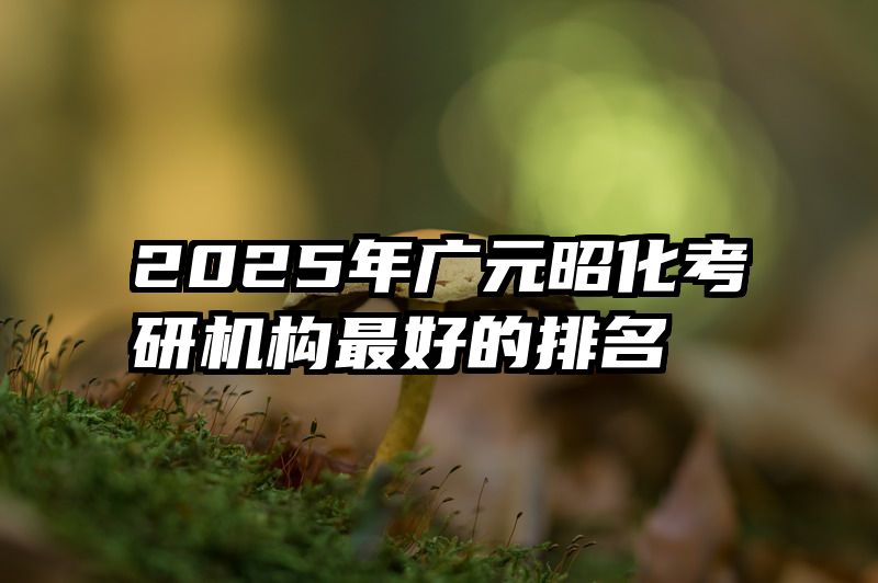 2025年广元昭化考研机构最好的排名