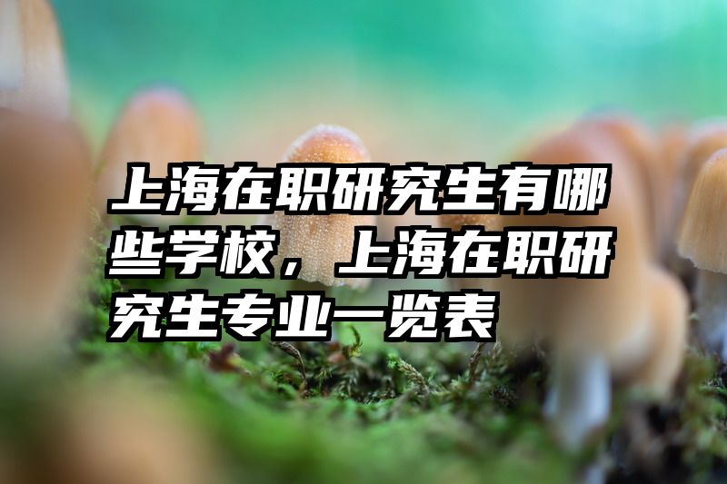 上海在职研究生有哪些学校，上海在职研究生专业一览表