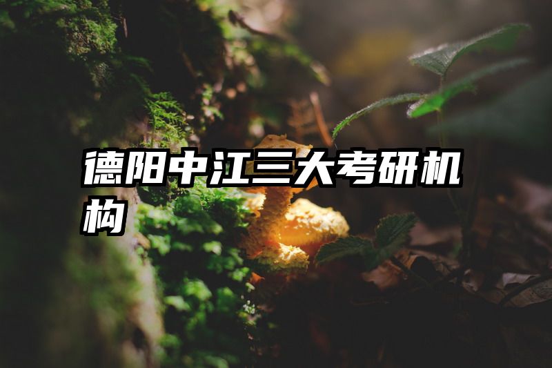 德阳中江三大考研机构