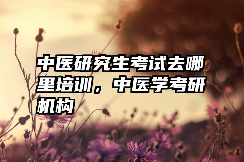 中医研究生考试去哪里培训，中医学考研机构