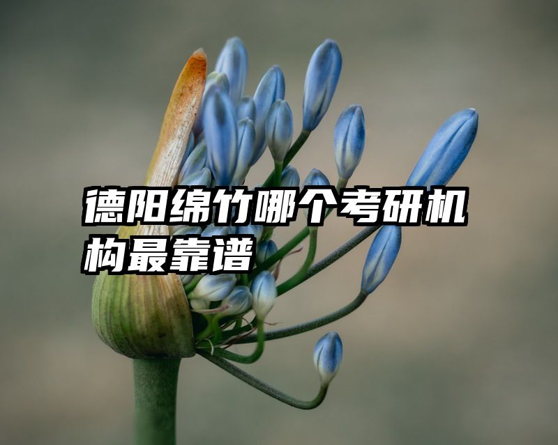 德阳绵竹哪个考研机构最靠谱