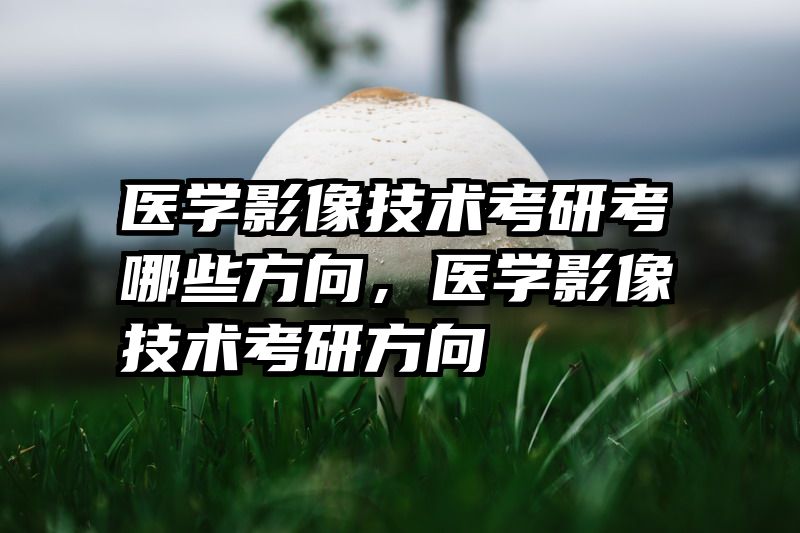 医学影像技术考研考哪些方向，医学影像技术考研方向